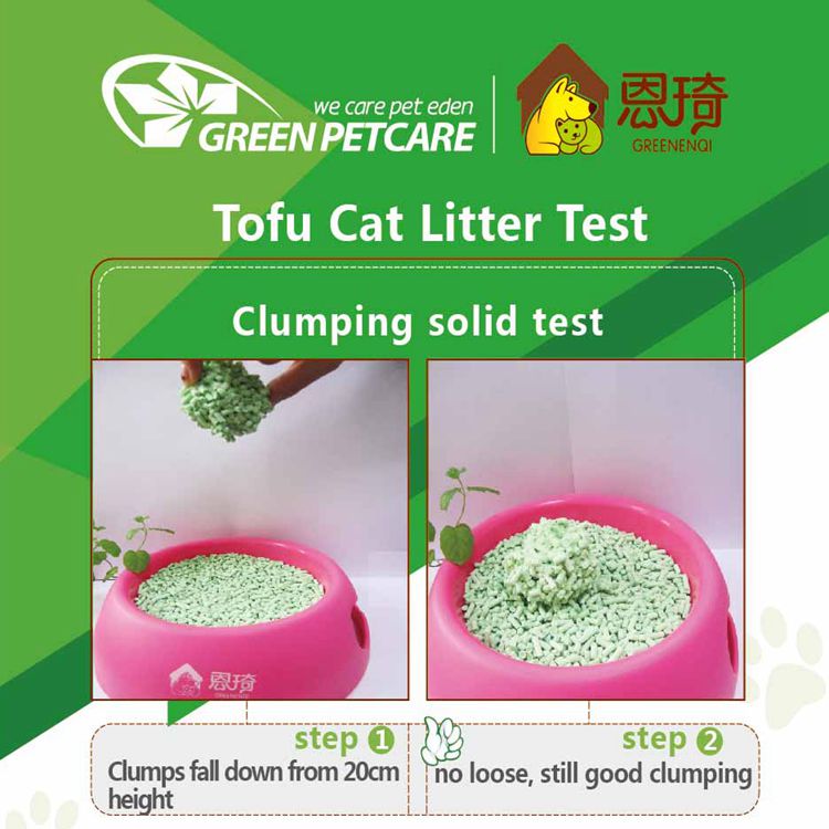 the best cat litter for odor control.jpg